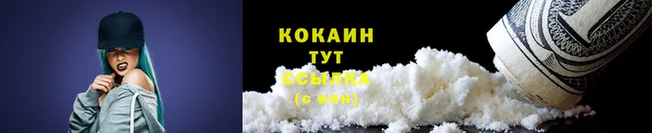 молекула духа Коряжма