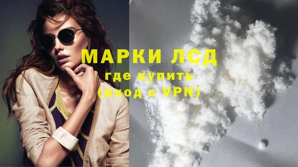 дурь Краснослободск